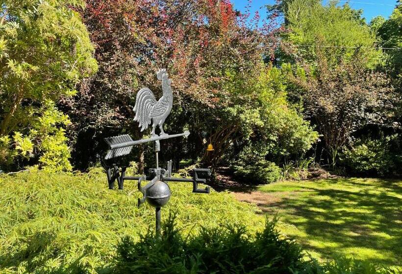 Bed and Breakfast Kye Bay Bnb   A Place To Breathe