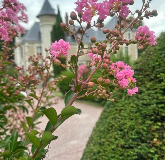 مبيت وإفطار Le Moulin De Francueil