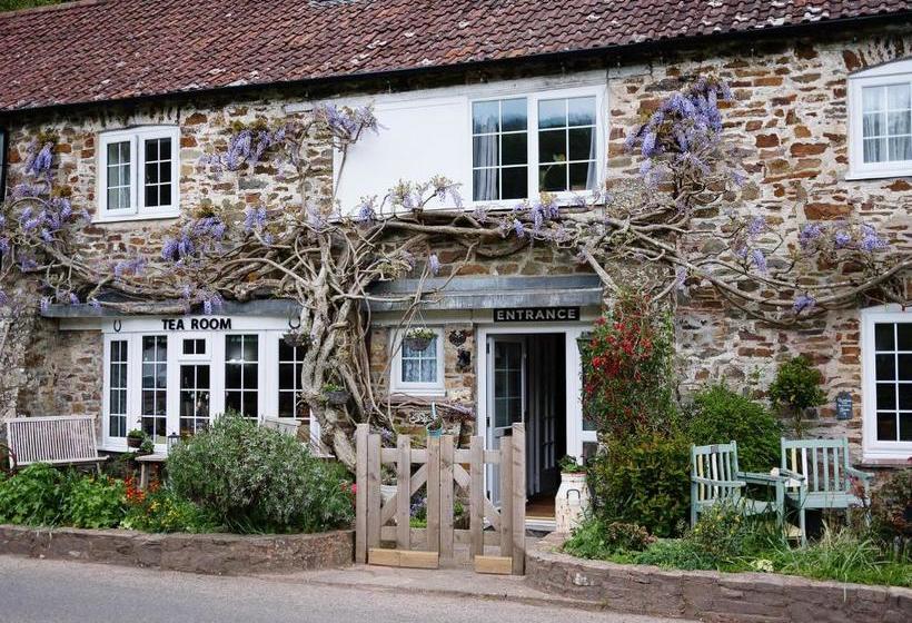 צימר The Bark House