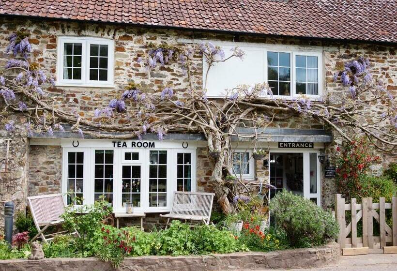مبيت وإفطار The Bark House