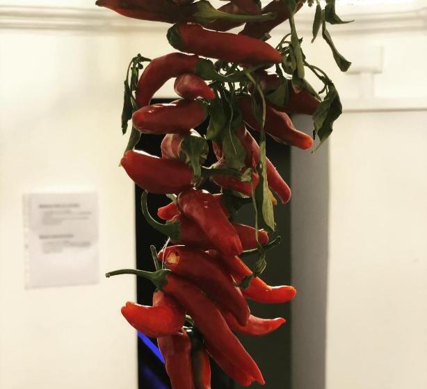 H Hostel Friendly Accommodation