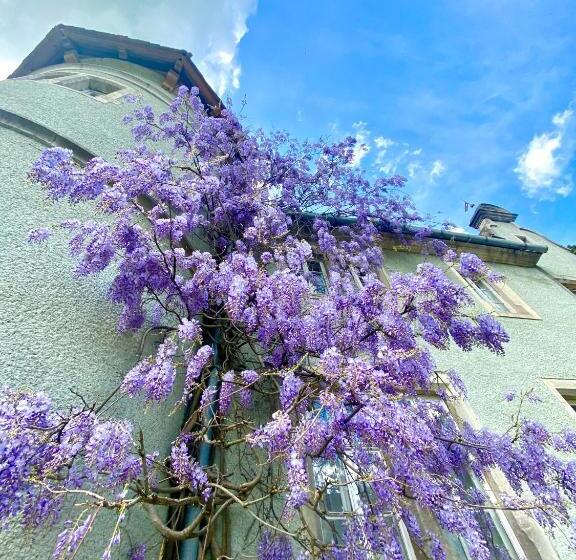 酒店 кайзервальд карпати