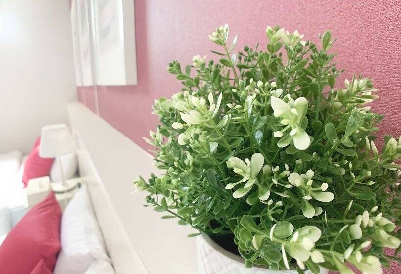 Bar & Hotel Colors Miyajima