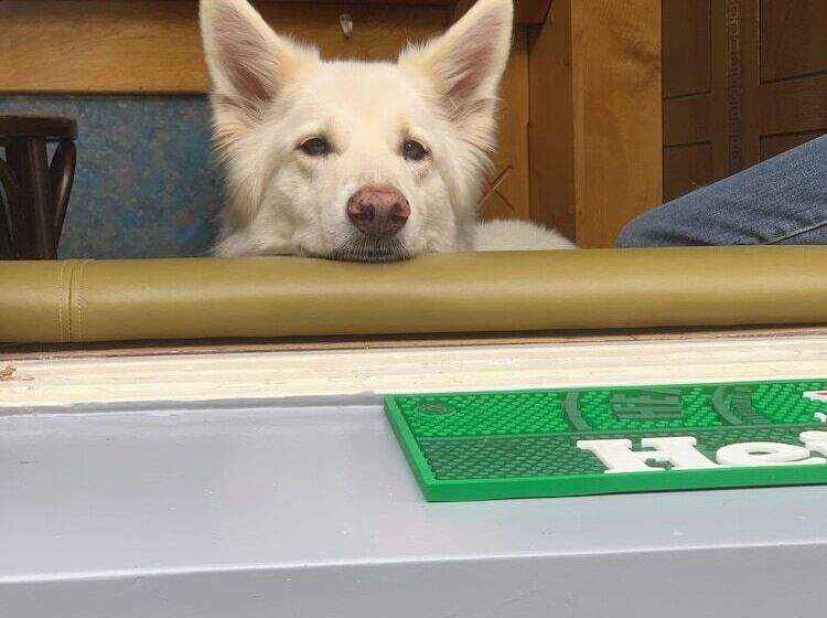 هتل & Bar Royal Taste Amsterdam