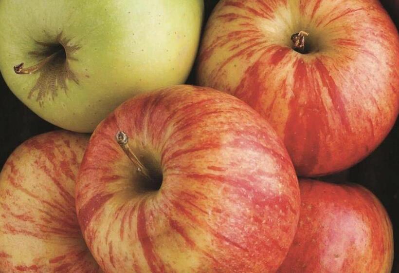 فندق La Quinta Inn & Suites By Wyndham Locust Grove