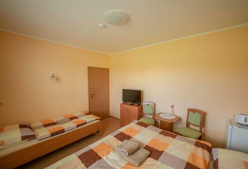 בית מלון כפרי Pension V Lukách