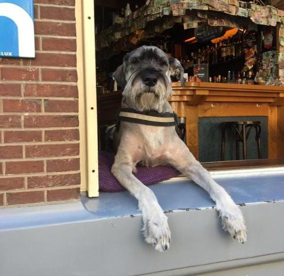 هتل & Bar Royal Taste Amsterdam