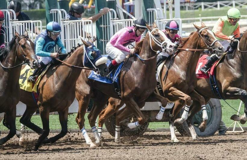 فندق The Hamilton  Lakefront & Studio Suites, Hot Springs