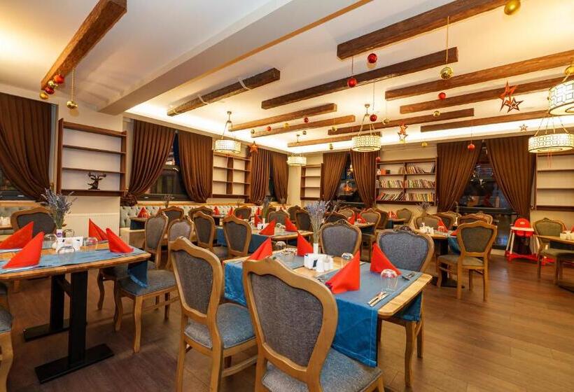 Library Hotel Erciyes