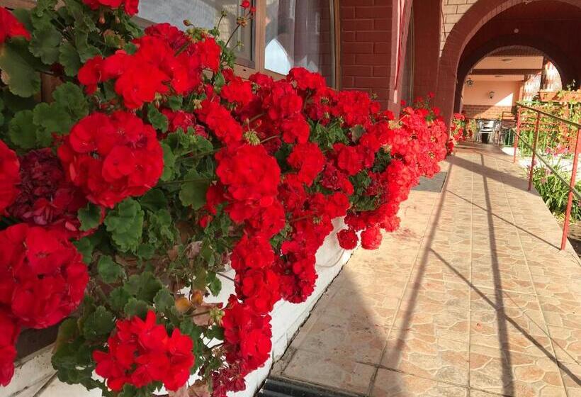 Мотель Muskátli Panzió és étterem