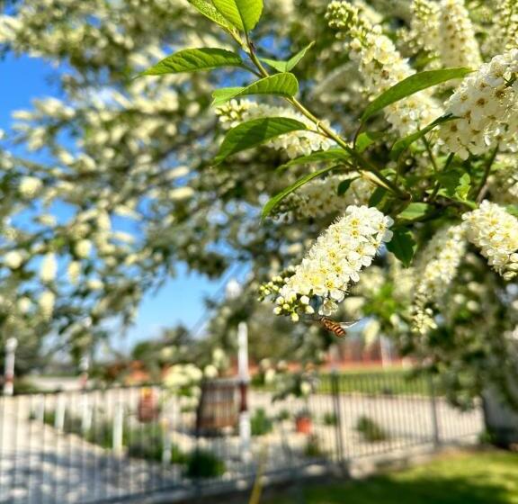 Мотель Muskátli Panzió és étterem
