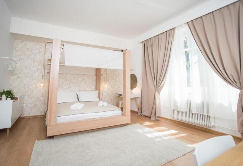 بنسيون Penzión Branecky