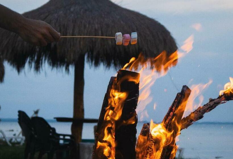 ペンション Playa Tortuga Barú