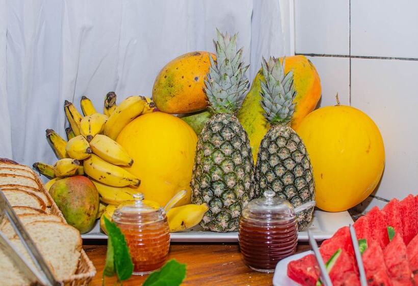 بنسيون Pousada Morro Tropical