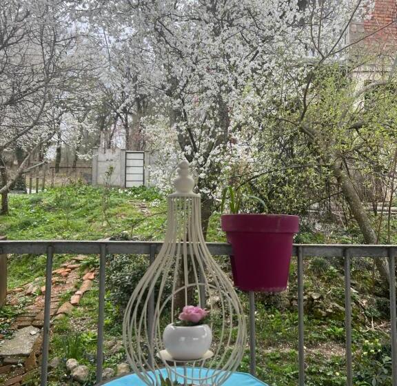 پانسیون Tskaltubo Terrace