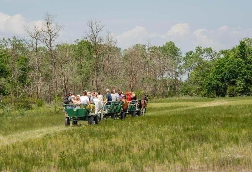 Pensiunea Belvedere Murighiol