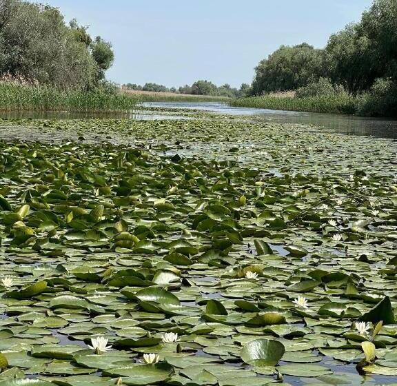 Pensiunea Belvedere Murighiol