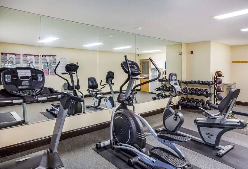 فندق Quality Inn