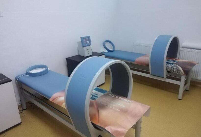 בית מלון כפרי Traian Caciulata