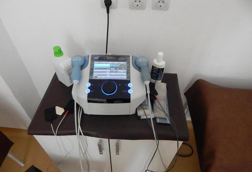 בית מלון כפרי Traian Caciulata