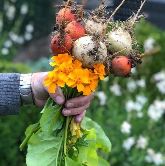 Löffelmühle Boutique Bed And Breakfast