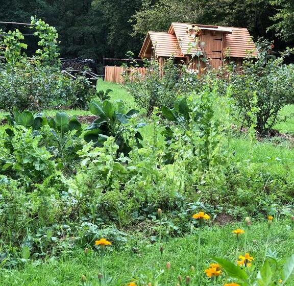 Löffelmühle Boutique Bed And Breakfast