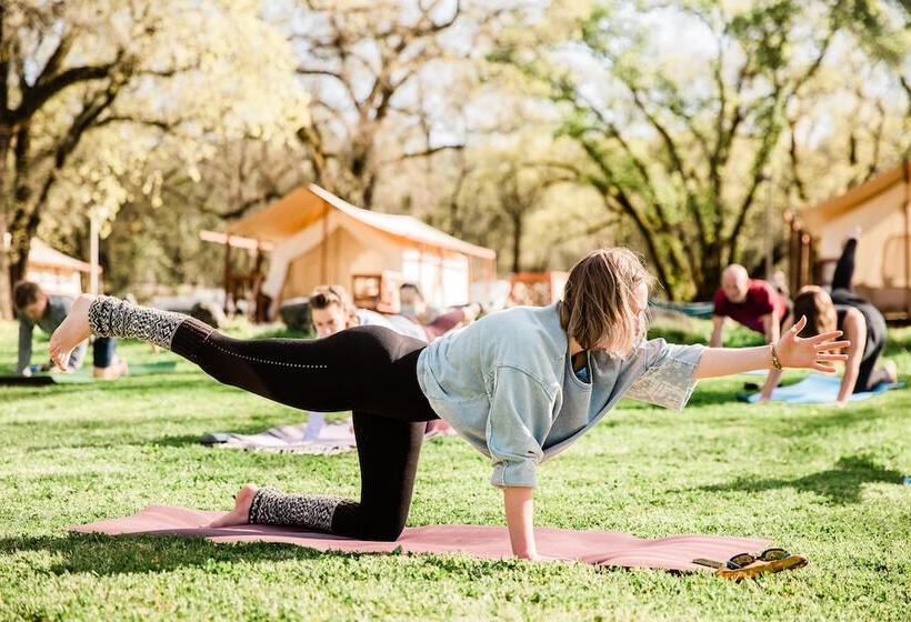 منتجع Wildhaven Sonoma Glamping