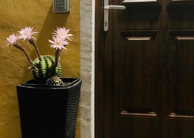 ベッドアンドブレックファースト Bb Borgo Biella