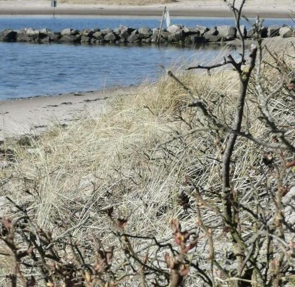 צימר Gl. Havn Bnb