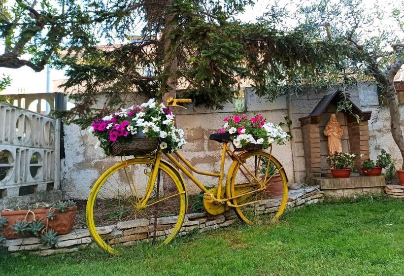 مبيت وإفطار Goccia Azzurra