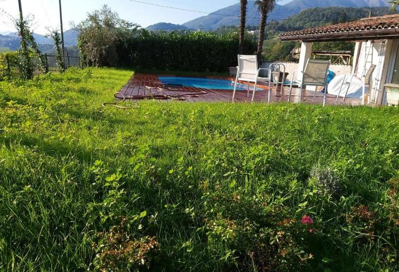 B&b Romantico Palazzo Dei Ulivi