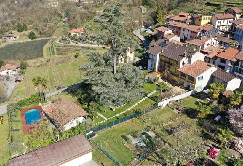 B&b Romantico Palazzo Dei Ulivi