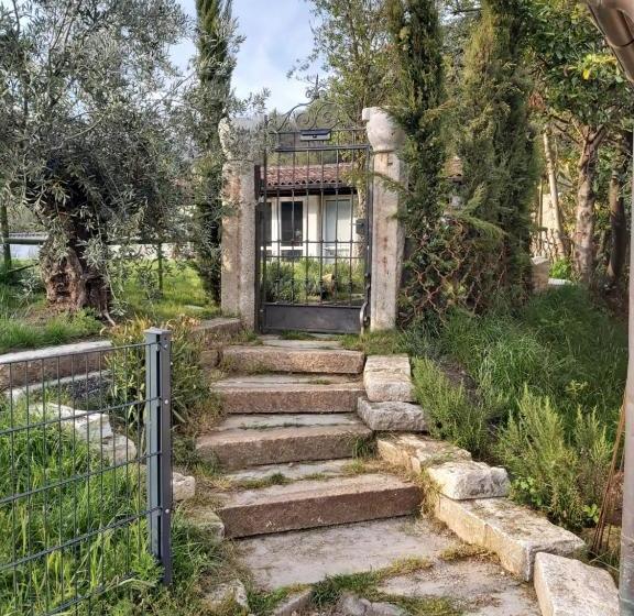 B&b Romantico Palazzo Dei Ulivi