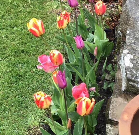 مبيت وإفطار Yorecroft