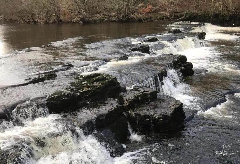 مبيت وإفطار Yorecroft