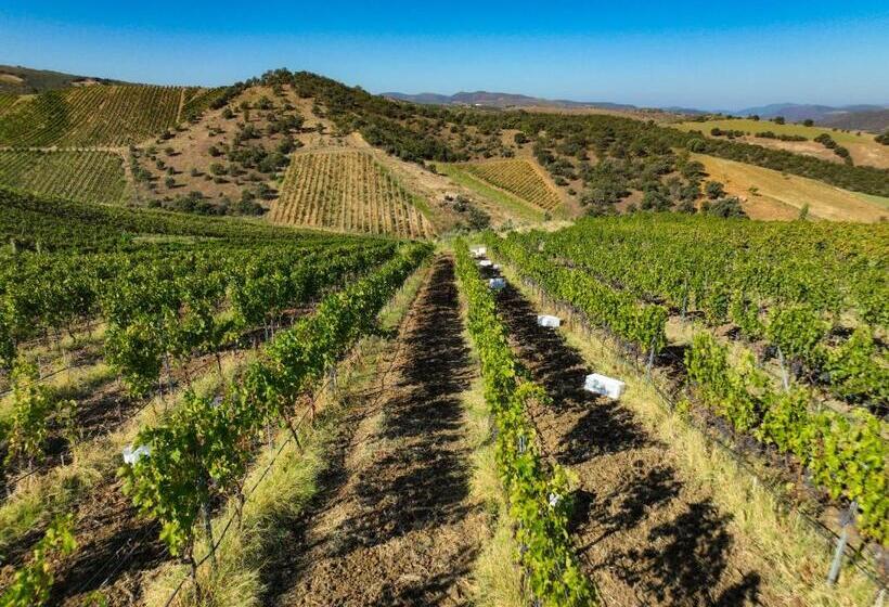 ホテル Bengodi Boutique