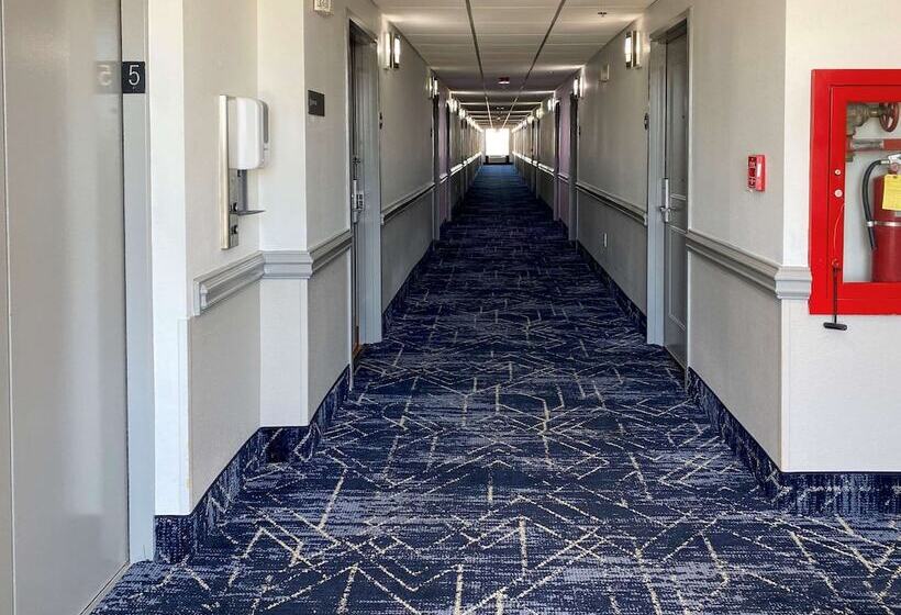 ホテル Comfort Inn Conover Hickory