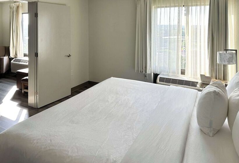 ホテル Comfort Inn Conover Hickory