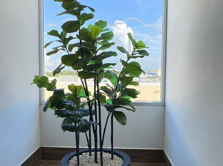 酒店 Sky Inn Cancun