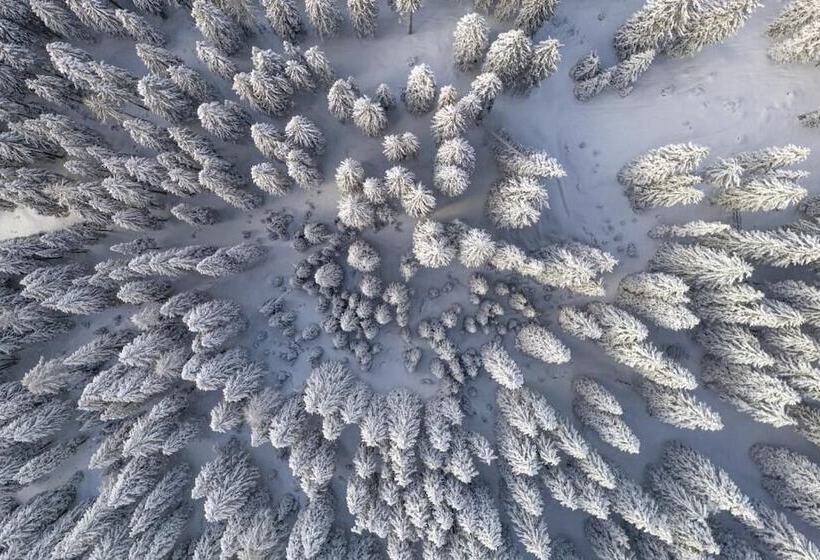 هتل Triangel Boutique