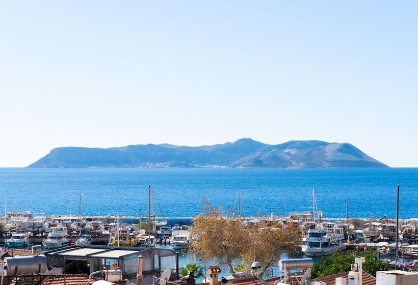 Kuytu Bed & Breakfast