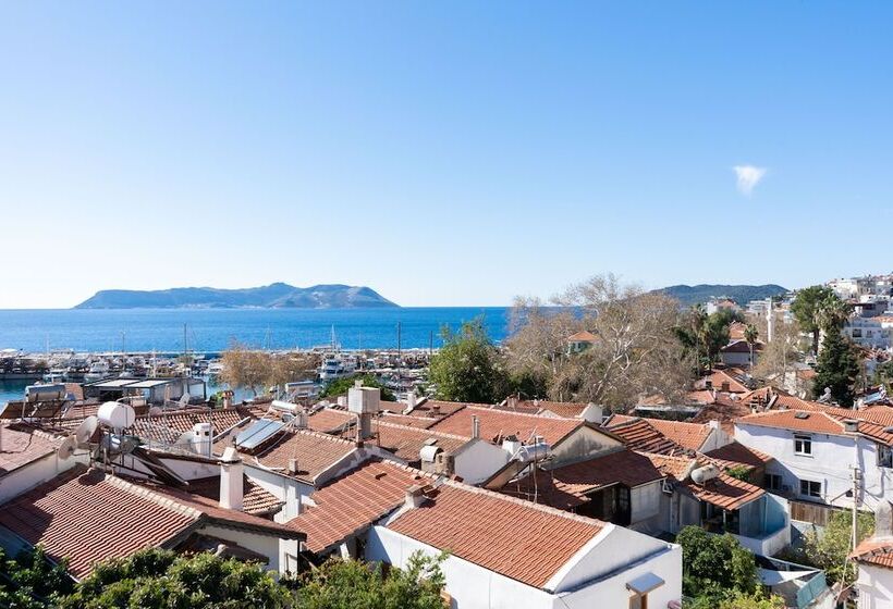 Kuytu Bed & Breakfast