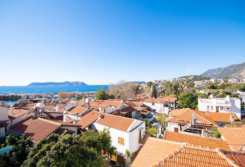 Kuytu Bed & Breakfast