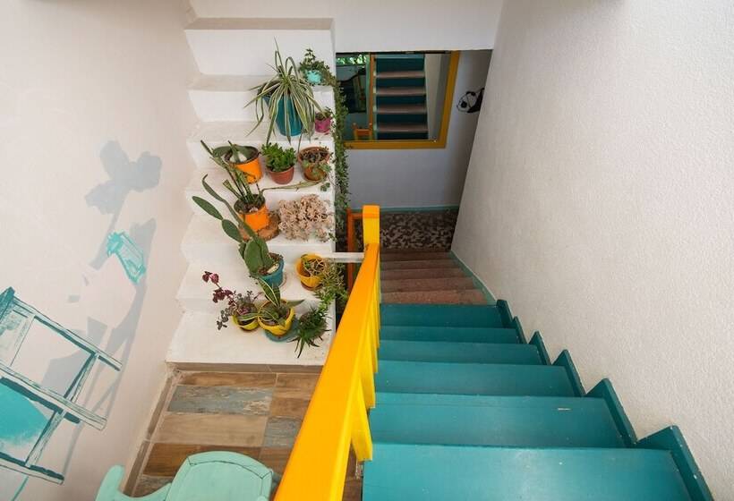 Kuytu Bed & Breakfast