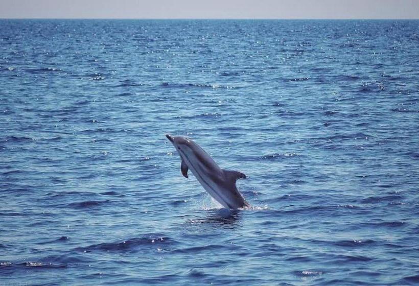 膳宿费 A Mare Exclusive Rooms & Suites