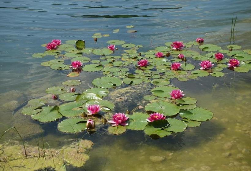 膳宿费 Am Hermannsbachl