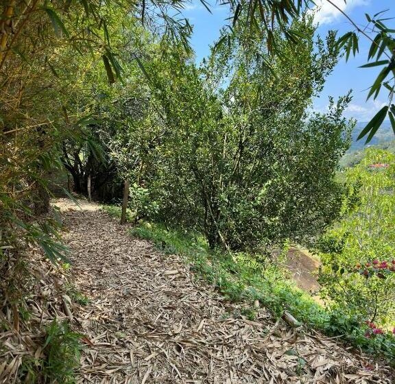 Пансион Finca Jaragual