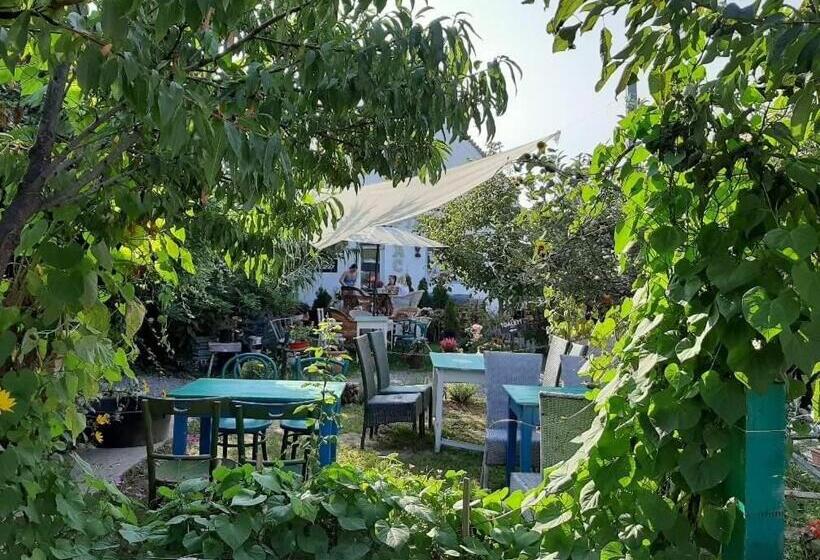 פנסיון Piac Vendégház