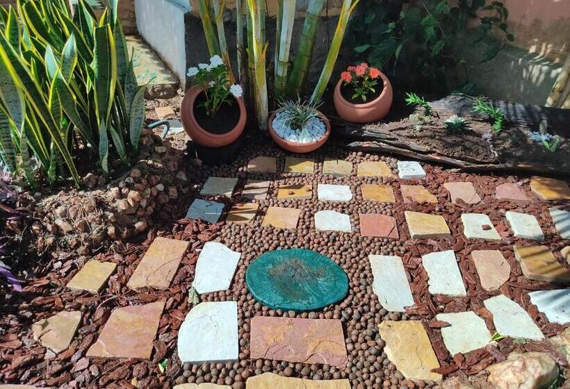 膳宿费 Cantinho Shirloca