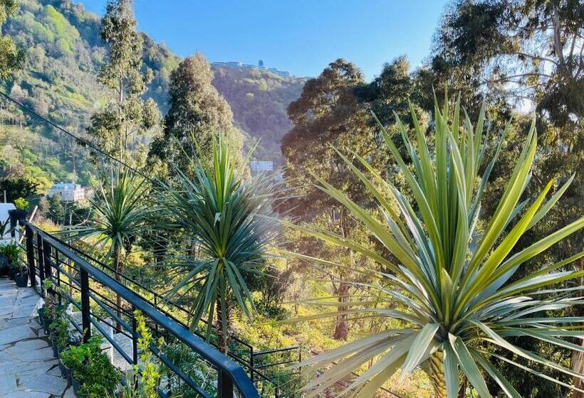 پانسیون Villa Evkalipt Kvariati